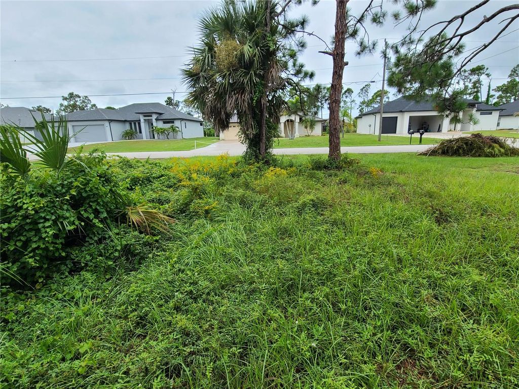 Photo of 254 Long Meadow Lane, Rotonda West, FL 33947 (MLS # D6133301)
