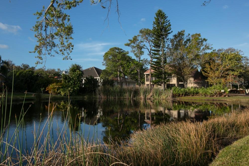 PLACIDO BAYOU - Land