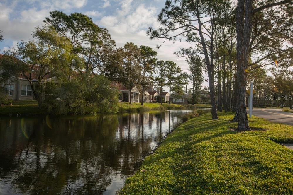 PLACIDO BAYOU - Land