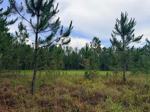 Tiny photo for 790 NW 42 Terrace, Chiefland, FL 32626 (MLS # GC541238)