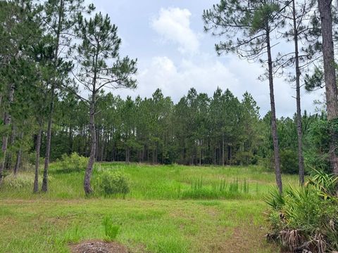 Tiny photo for 790 NW 42 Terrace, Chiefland, FL 32626 (MLS # GC541238)