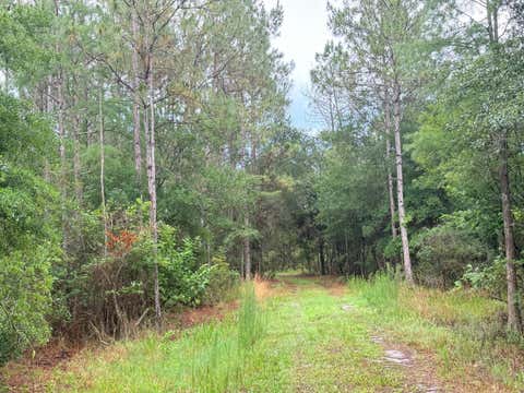 Tiny photo for 790 NW 42 Terrace, Chiefland, FL 32626 (MLS # GC541238)
