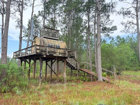 Tiny photo for 790 NW 42 Terrace, Chiefland, FL 32626 (MLS # GC541238)
