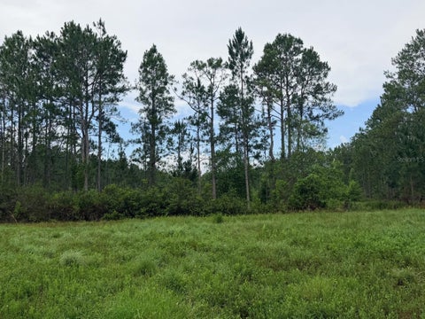 Tiny photo for 790 NW 42 Terrace, Chiefland, FL 32626 (MLS # GC541238)