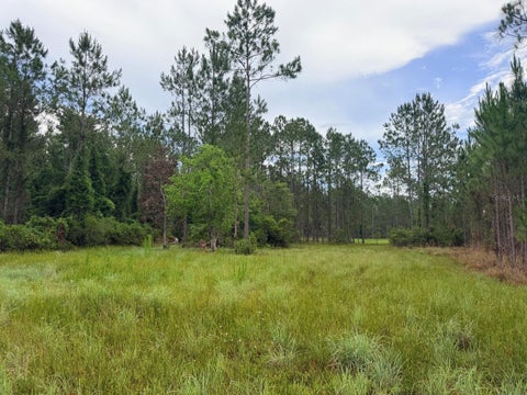 Tiny photo for 790 NW 42 Terrace, Chiefland, FL 32626 (MLS # GC541238)