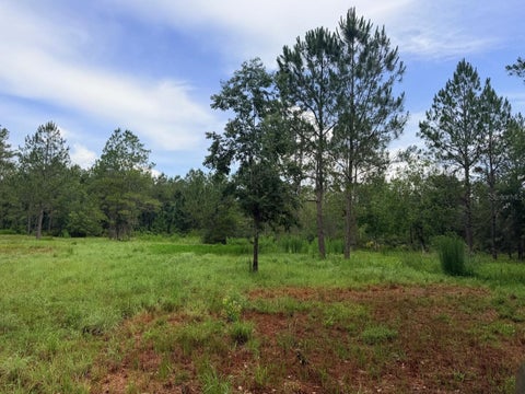 Tiny photo for 790 NW 42 Terrace, Chiefland, FL 32626 (MLS # GC541238)