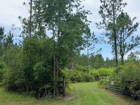 Tiny photo for 790 NW 42 Terrace, Chiefland, FL 32626 (MLS # GC541238)