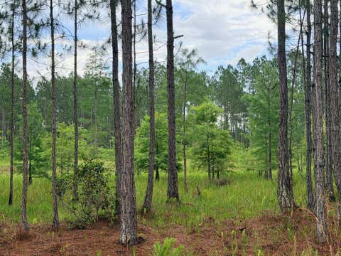 Tiny photo for 790 NW 42 Terrace, Chiefland, FL 32626 (MLS # GC541238)