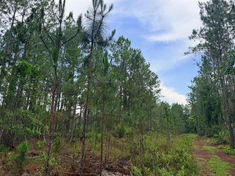 Tiny photo for 790 NW 42 Terrace, Chiefland, FL 32626 (MLS # GC541238)