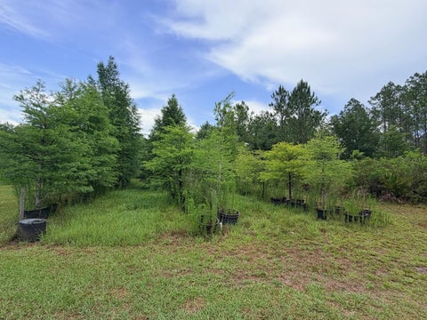 Tiny photo for 790 NW 42 Terrace, Chiefland, FL 32626 (MLS # GC541238)