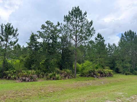 Tiny photo for 790 NW 42 Terrace, Chiefland, FL 32626 (MLS # GC541238)