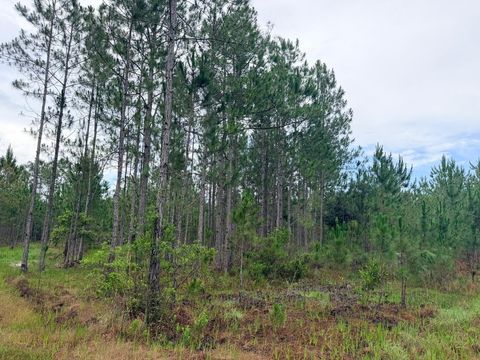 Tiny photo for 790 NW 42 Terrace, Chiefland, FL 32626 (MLS # GC541238)