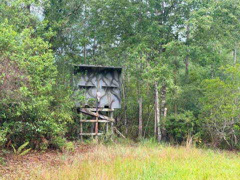 Tiny photo for 790 NW 42 Terrace, Chiefland, FL 32626 (MLS # GC541238)