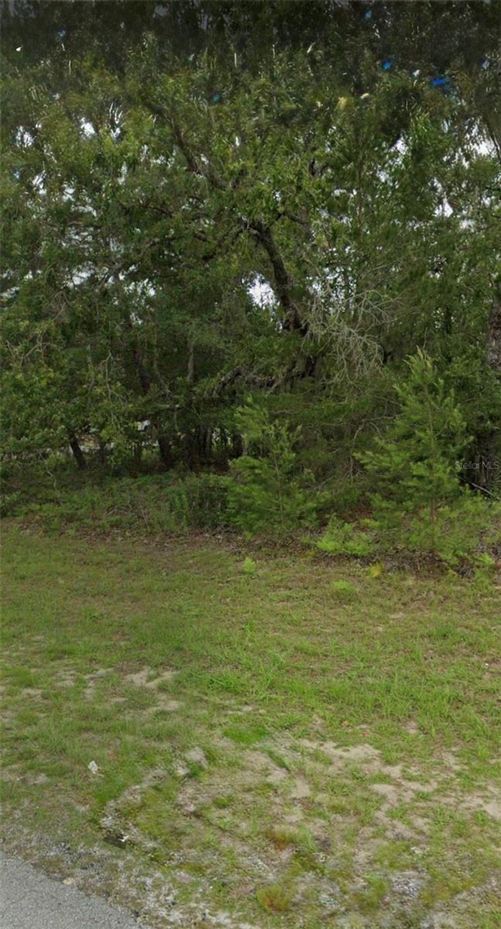 Photo of Tbd 55th Court Rd, Ocala, FL 34473 (MLS # OM718668)