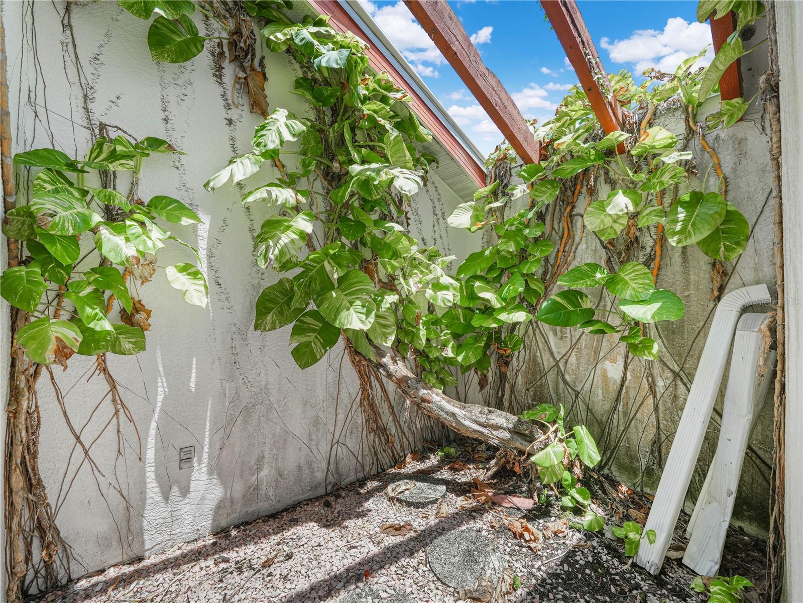 262 GEORGE ROAD SE