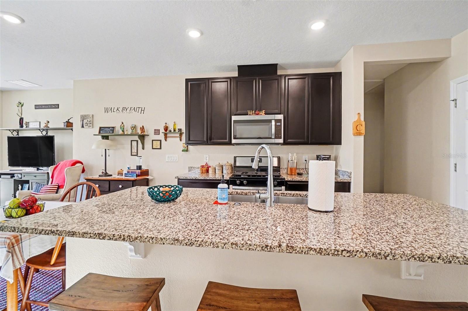 29385 CASPIAN STREET