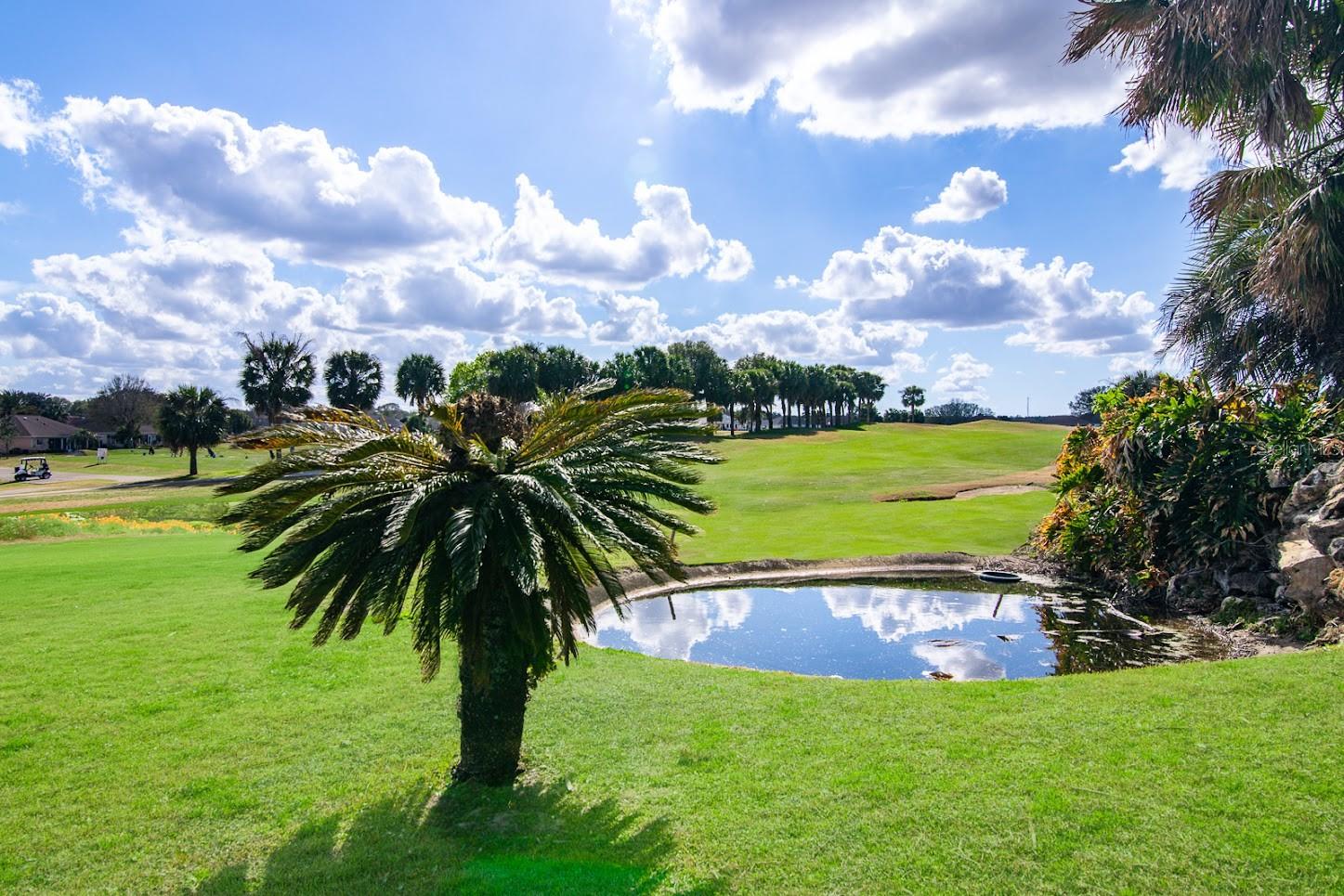 OCALA PALMS GOKF & COUNTRY CLUB - Residential
