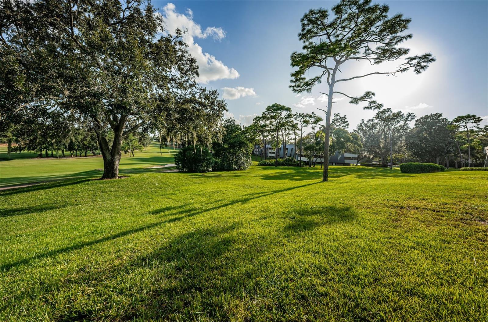 INNISBROOK - Residential