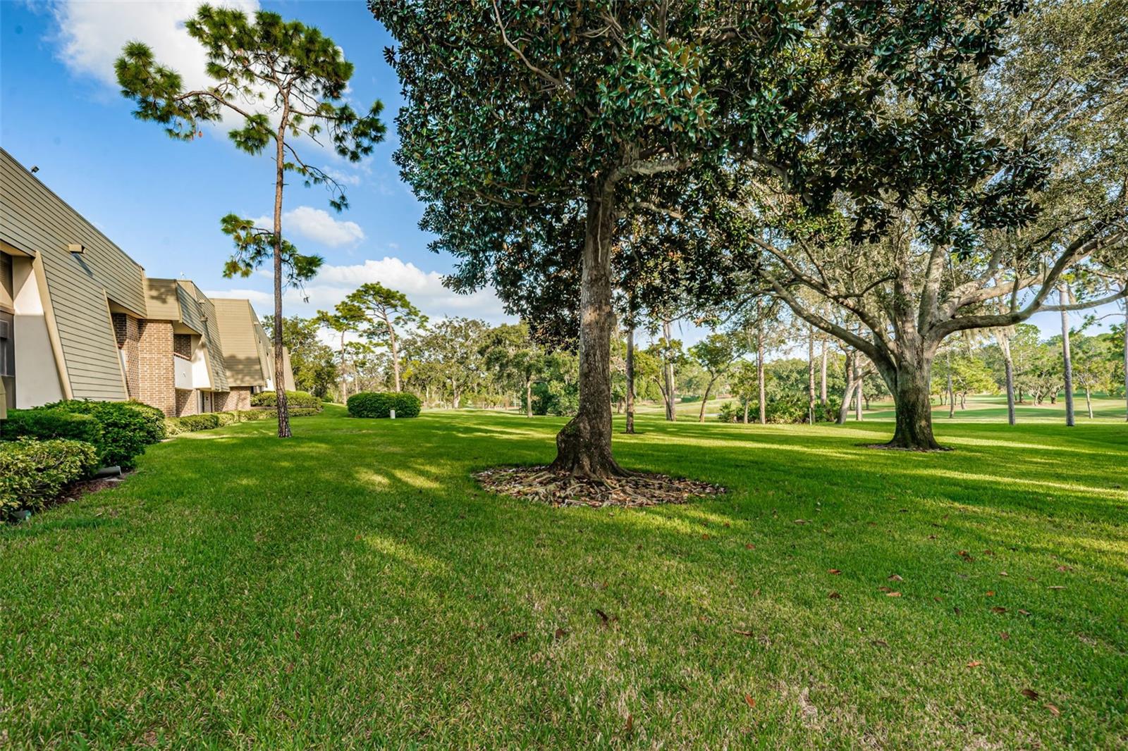 INNISBROOK - Residential