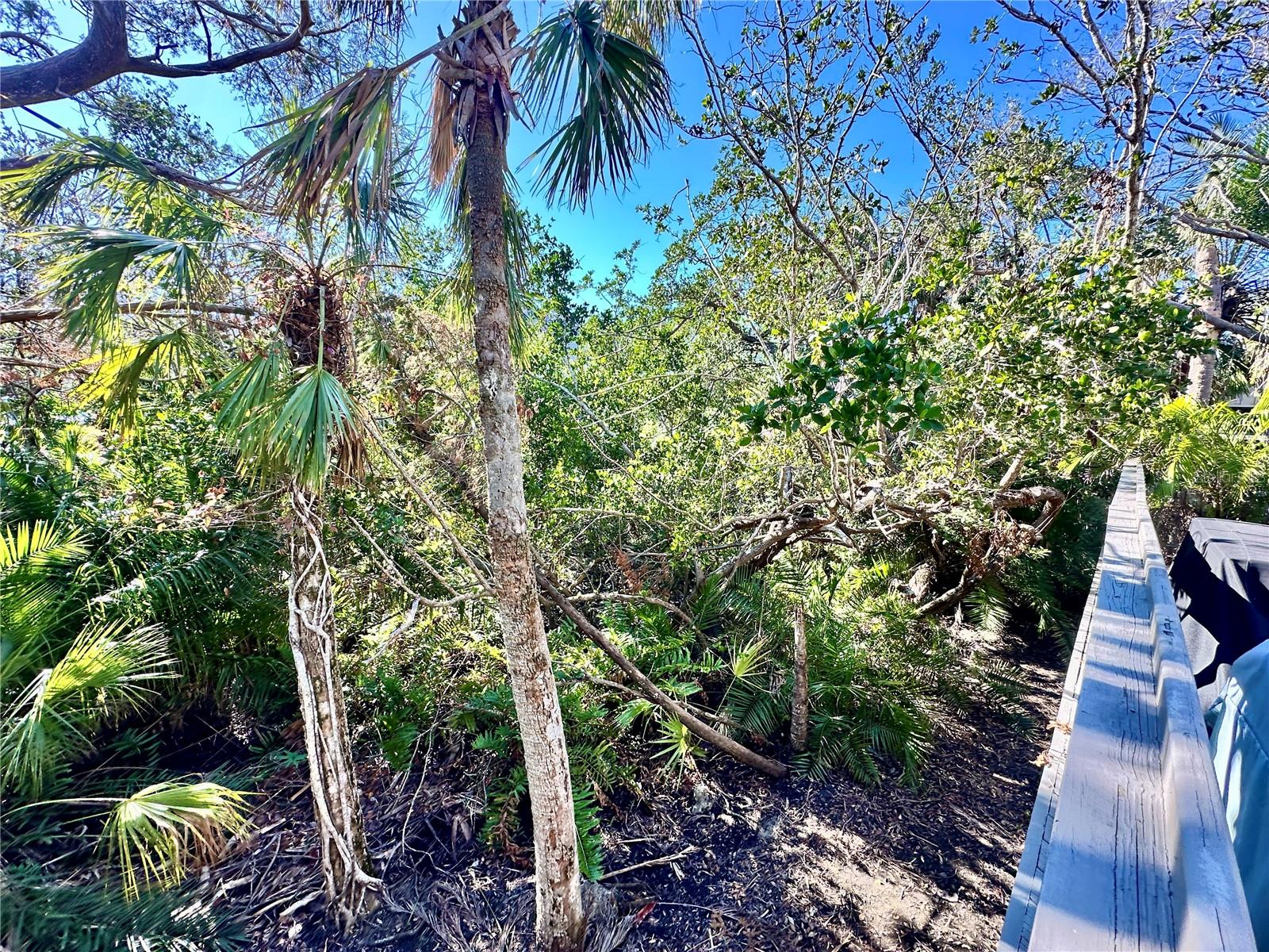 LANDINGS TREEHOUSE - Residential Lease