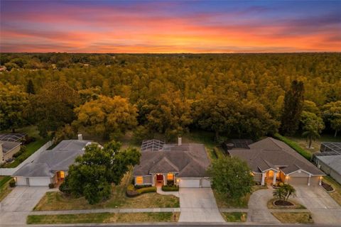 Photo of 18543 Bittern Avenue, Lutz, FL 33558 (MLS # TB8501276)