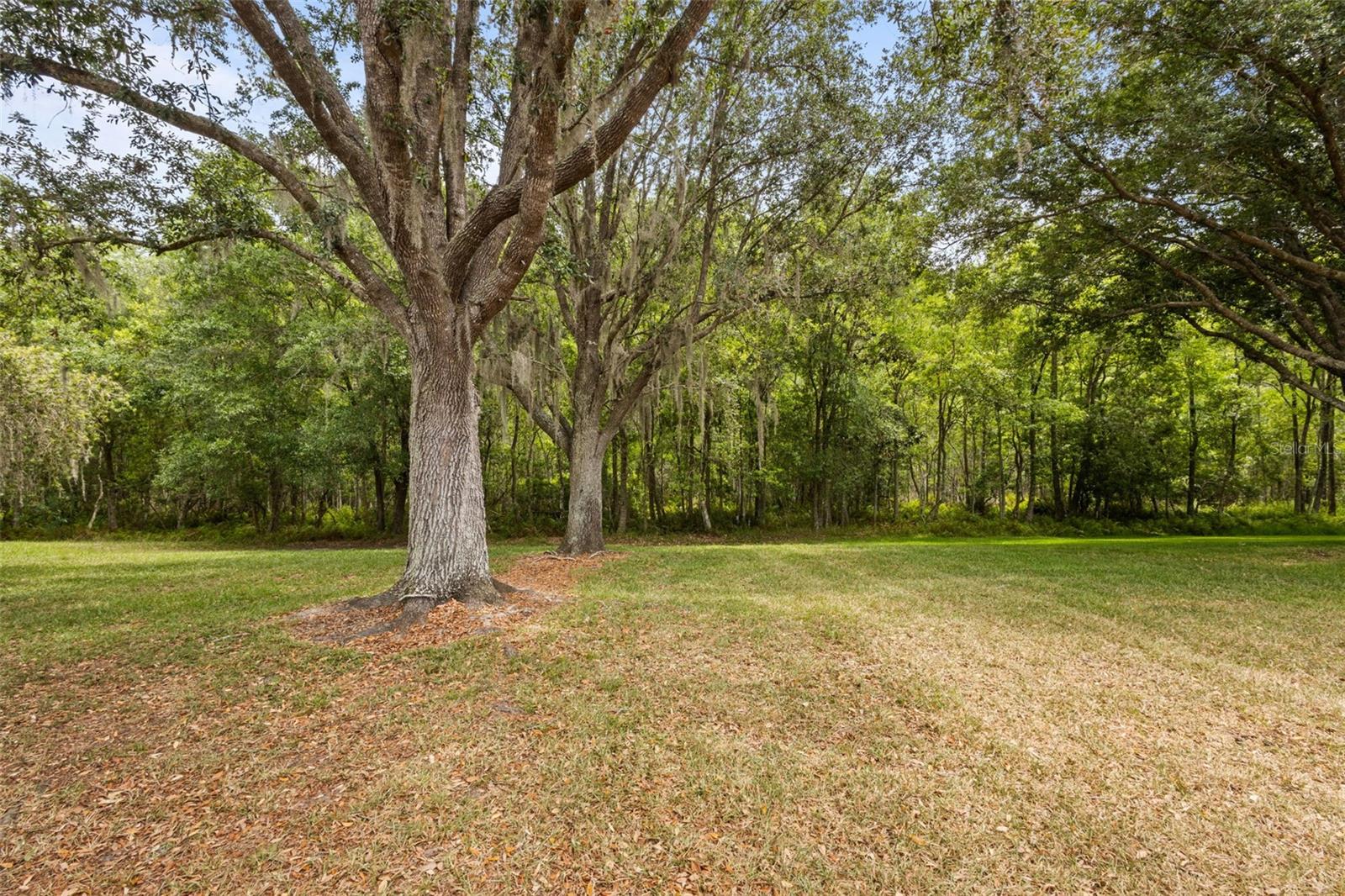 CALUSA TRACE UNIT FIVE PH - Residential