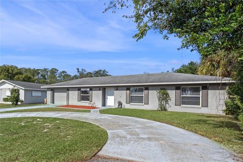 A home in MOUNT DORA