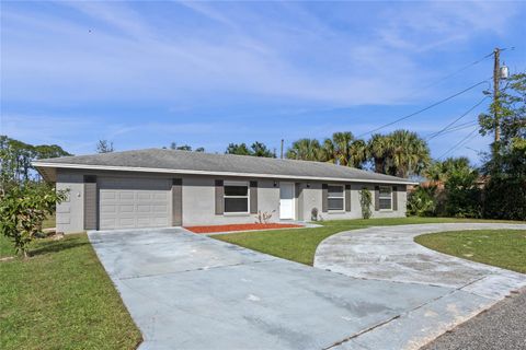 A home in MOUNT DORA