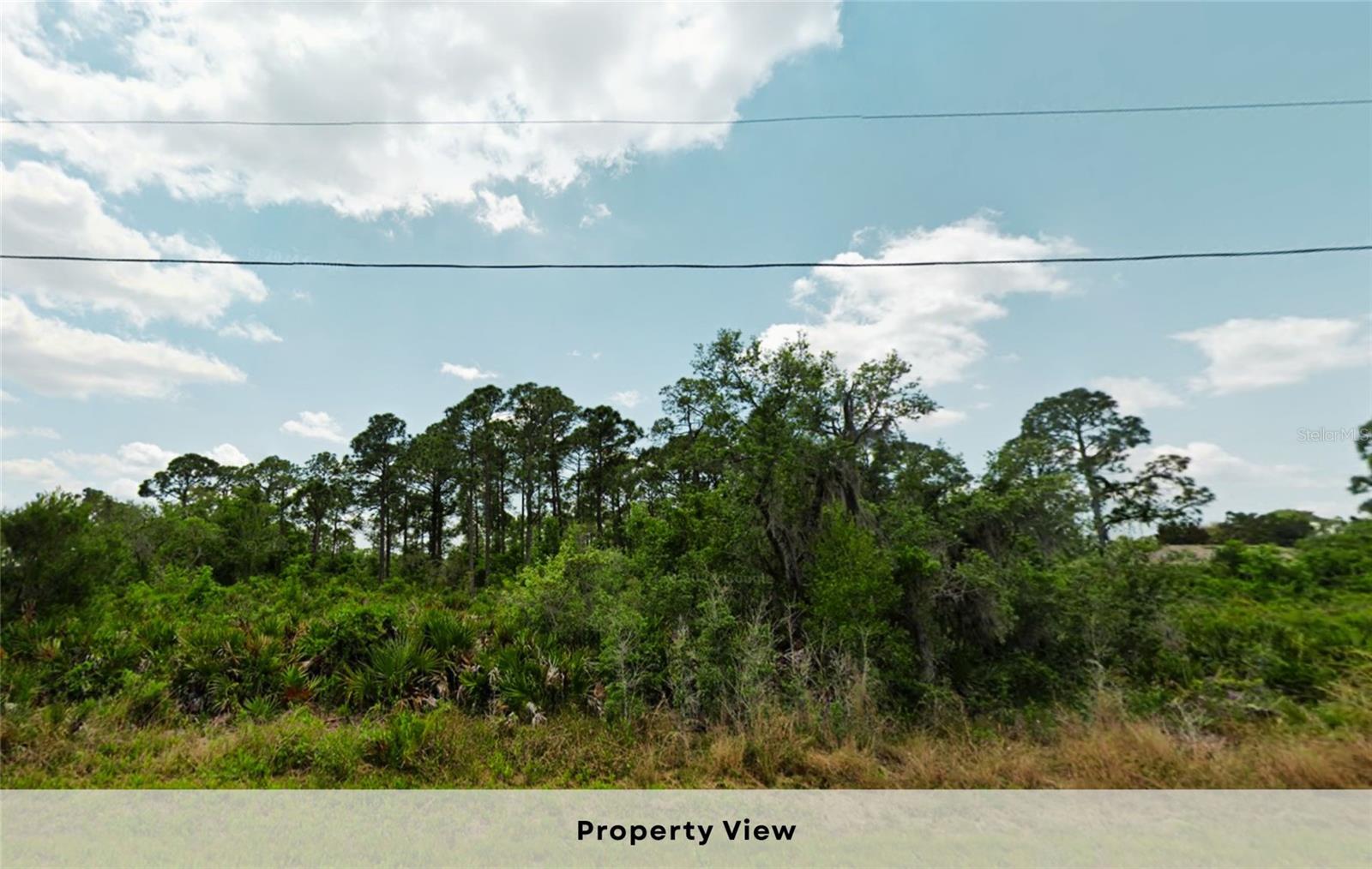 PLACID LAKES SEC 12 - Land