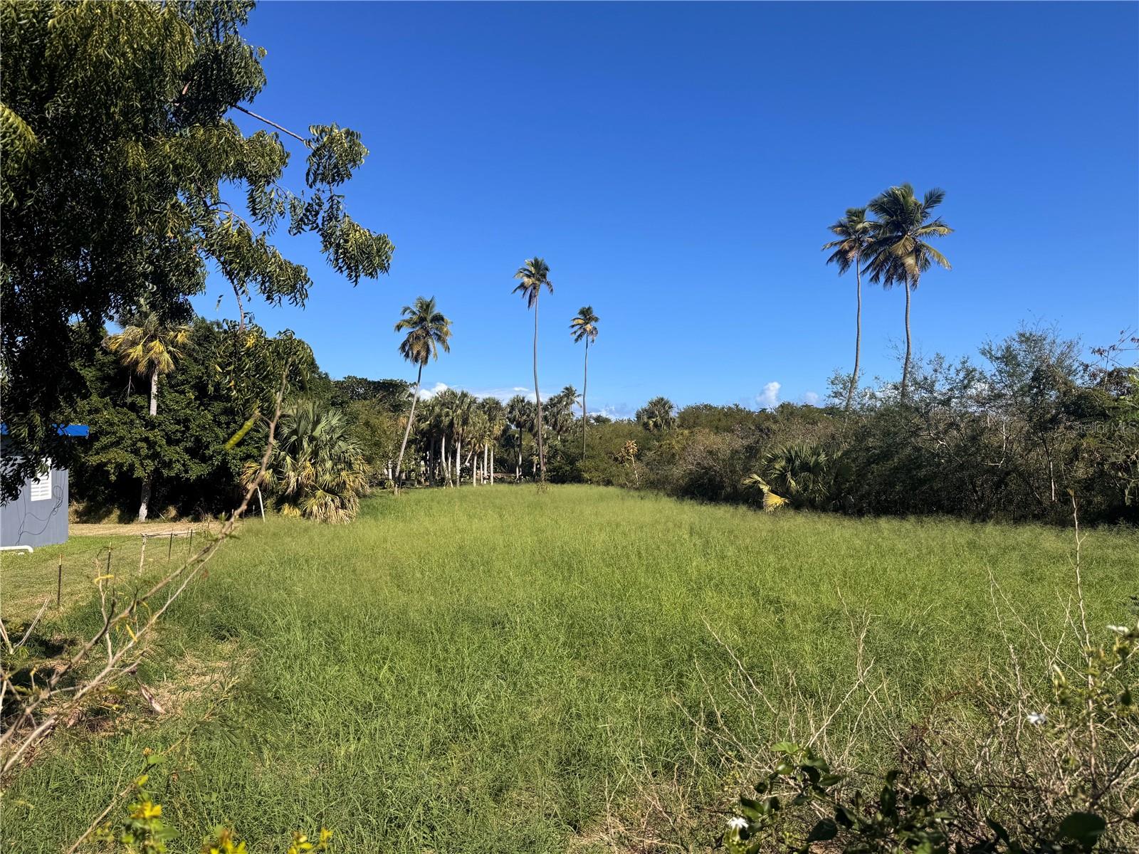 BAJURA - Commercial Sale