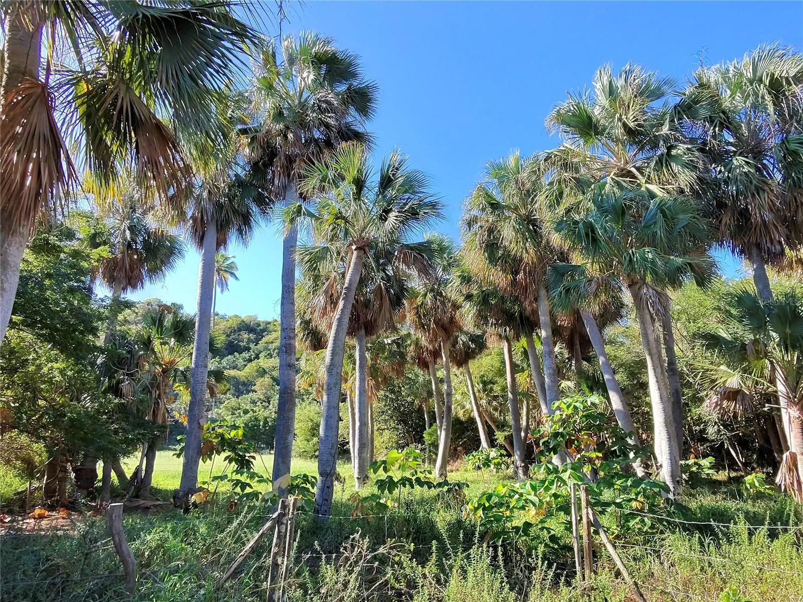 BAJURA - Commercial Sale