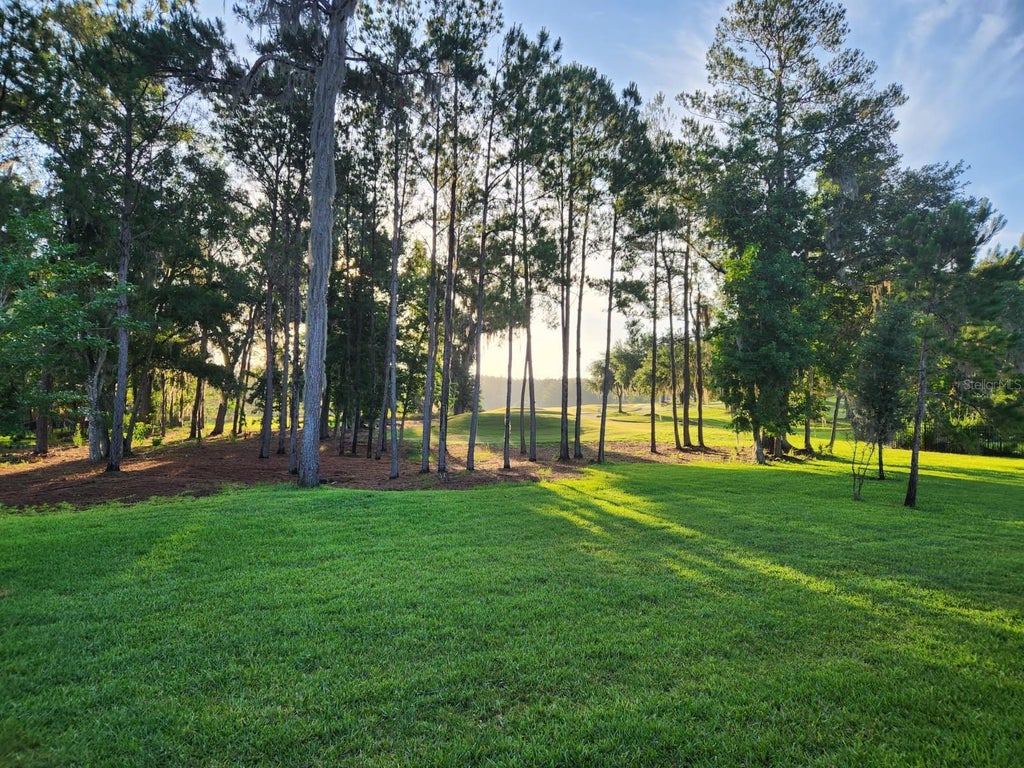 Photo of 5020 Southern Valley Loop, Brooksville, FL 34601 (MLS # TB8554299)