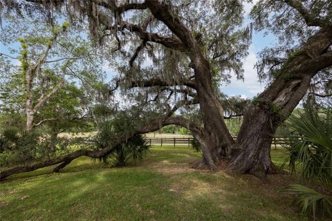 A home in ALACHUA