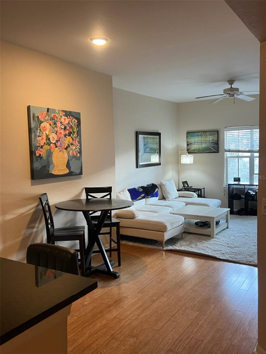 MADISON AT ST PETE - Residential