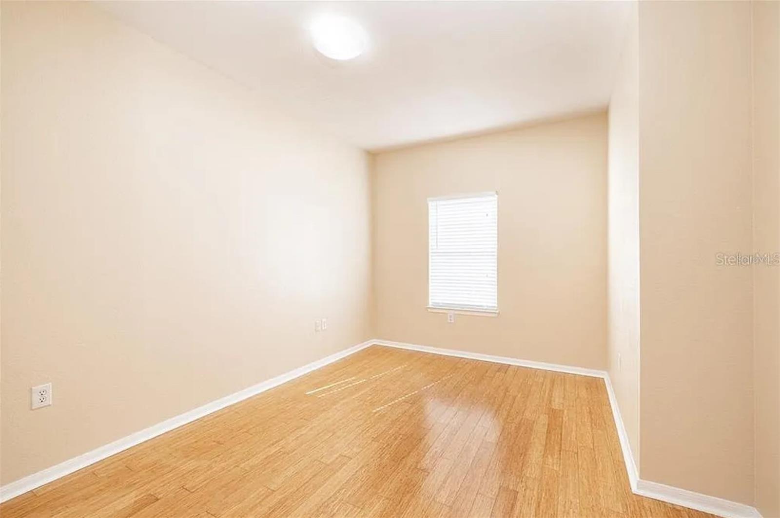 MADISON AT ST PETE - Residential