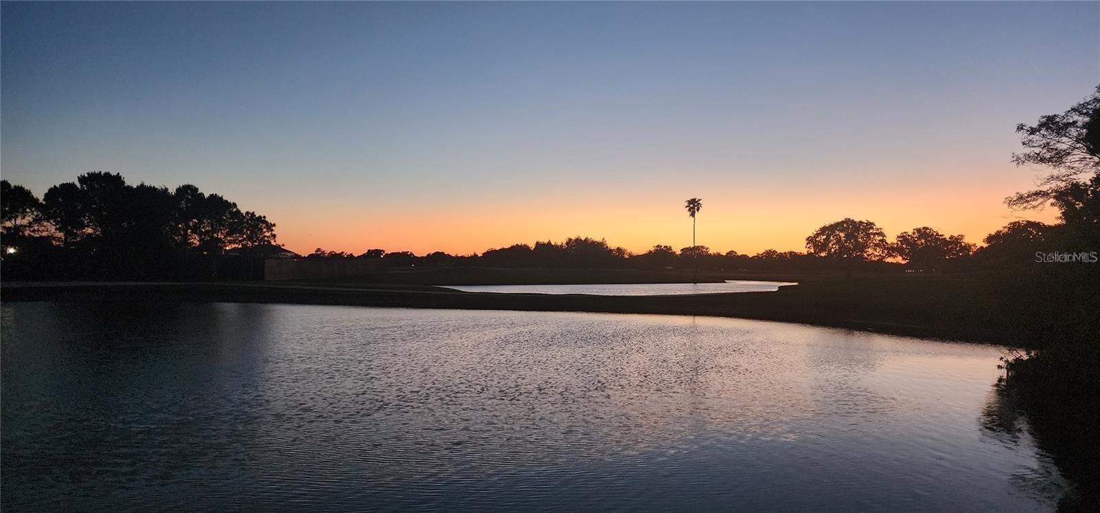 AUDUBON CONDO AT FEATHER SOUND - Residential Lease