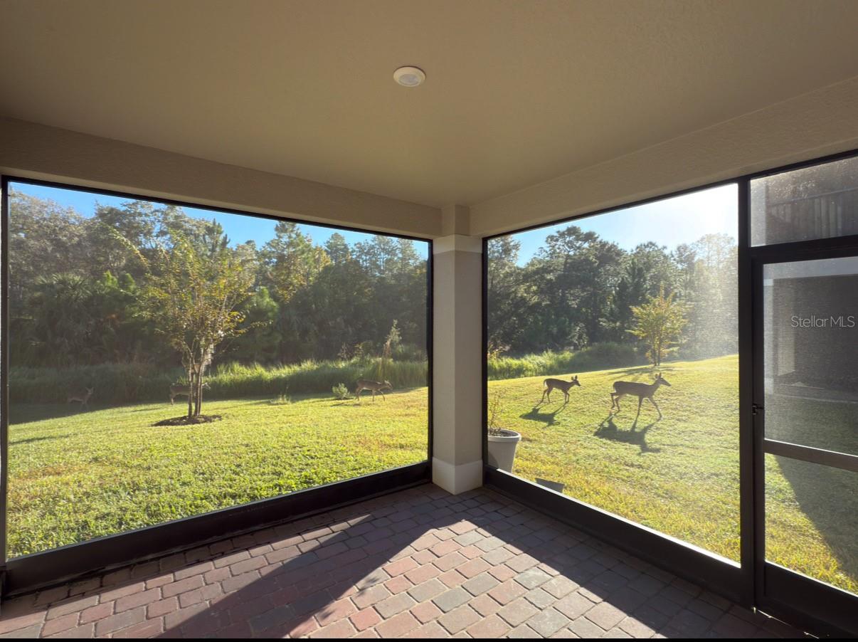 HIDEAWAY COVE AT OVIEDO PH 3 - Residential