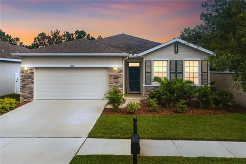 A home in RIVERVIEW