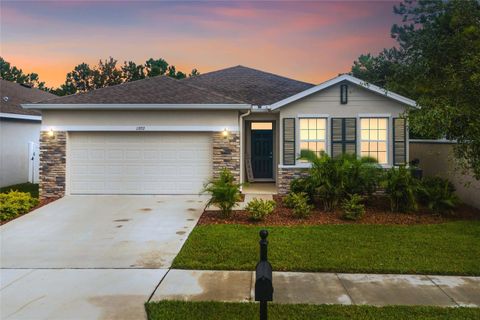 A home in RIVERVIEW