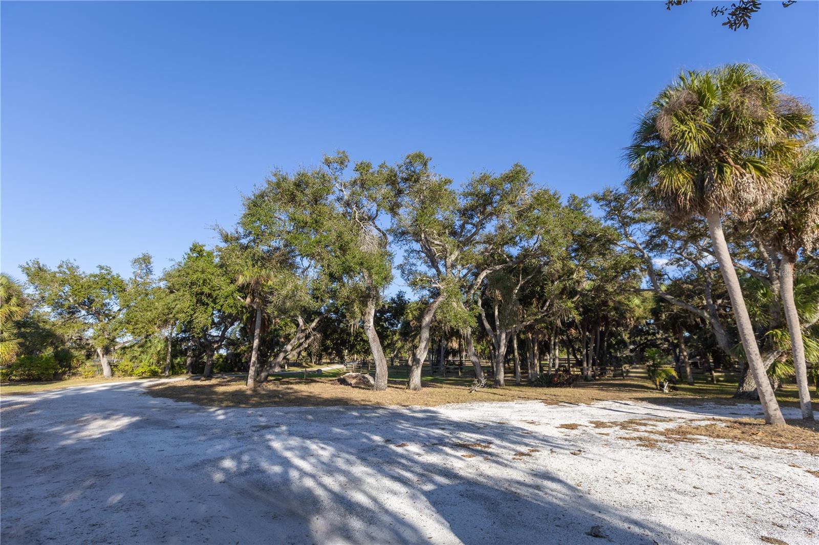 OAK RDG FARMS - Land
