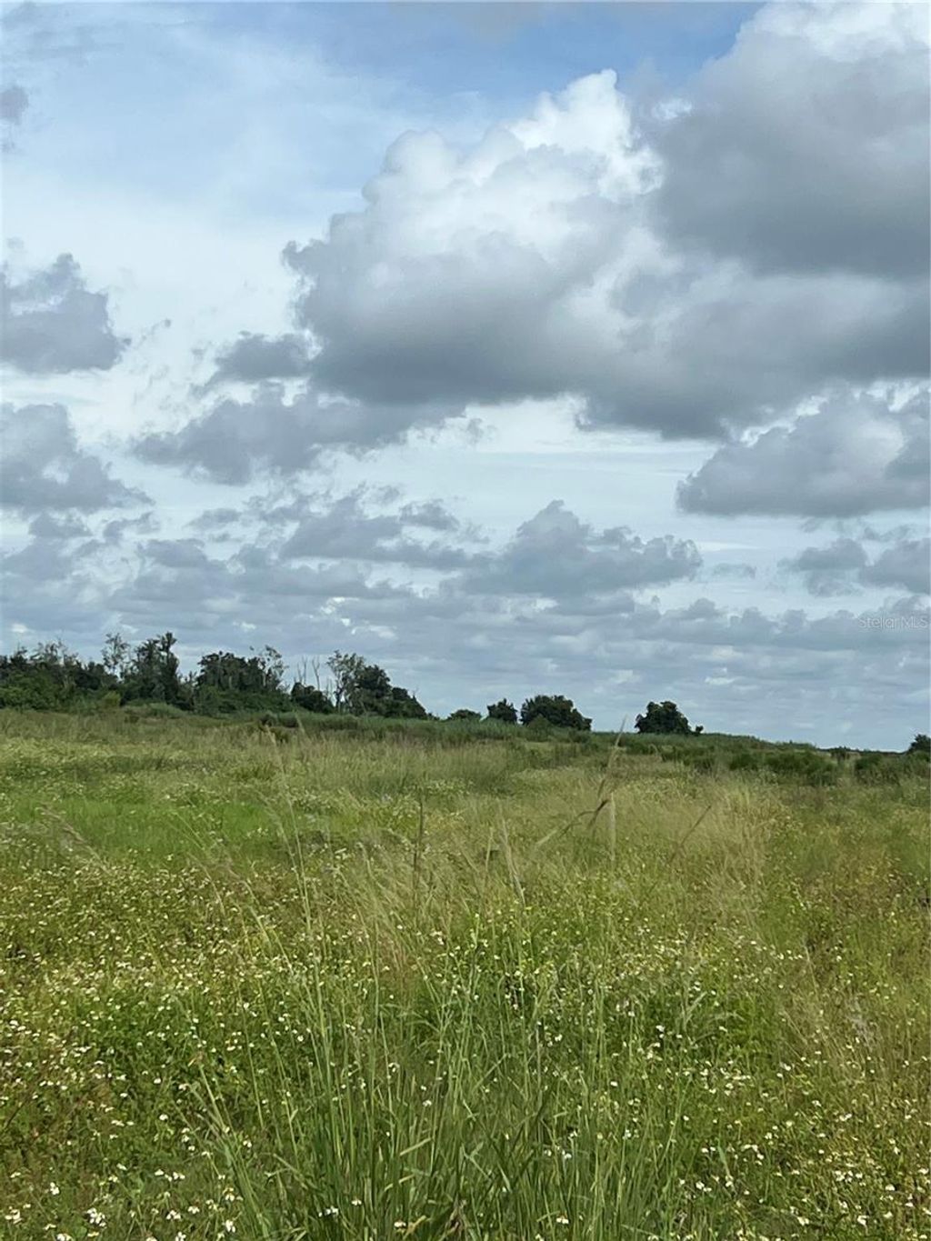 Photo of NE Highway 70, Arcadia, FL 34266 (MLS # A4664557)