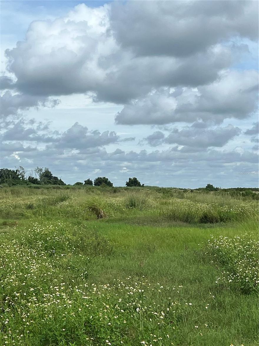 Discover endless opportunities with this 7.5-acre parcel of cleared citrus land. While easily accessible, this property offers the perfect blend of open space and agricultural potential. With the grove already cleared, you have a blank canvas to create your vision-whether it's expanding or replanting citrus, starting a hobby farm or simply investing in Florida land. The zoning is A-10, and while it allows for different uses, please contact DeSoto County planning an zoning for verified use.