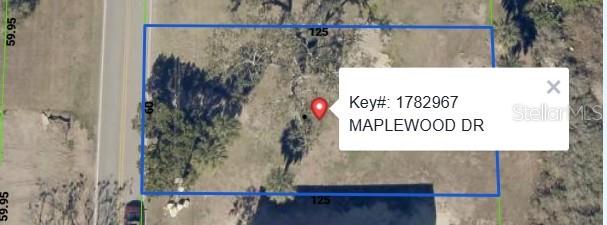 MAPLEWOOD DRIVE