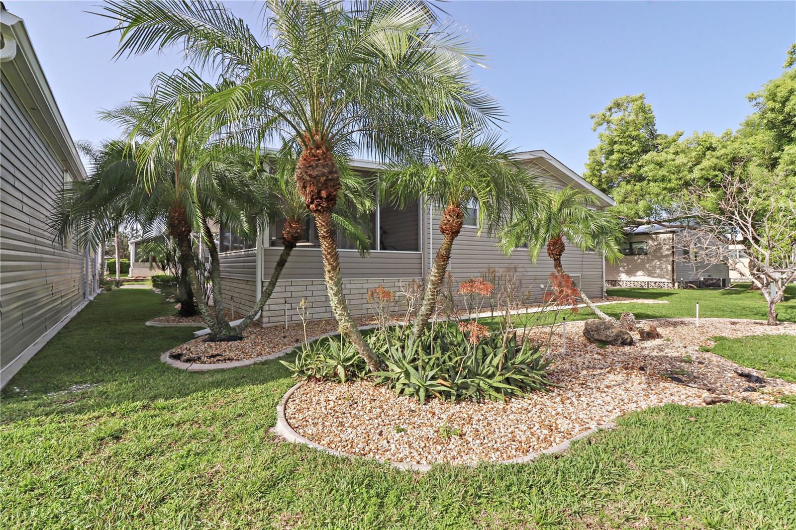 MAPLE LEAF ESTATES - Residential