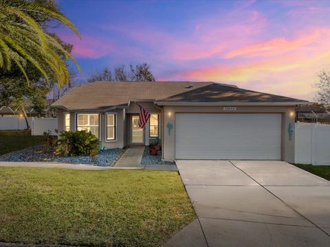 Photo of 10616 Bucks Run, New Port Richey, FL 34654 (MLS # TB8467938)