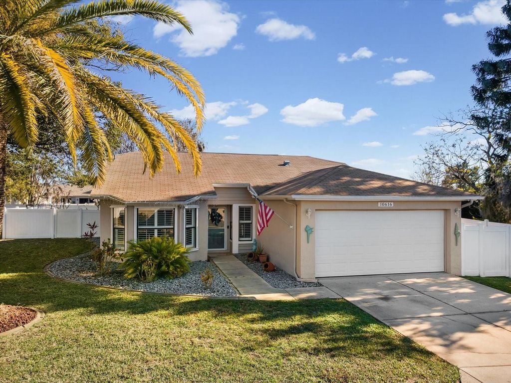 Photo of 10616 Bucks Run, New Port Richey, FL 34654 (MLS # TB8467938)