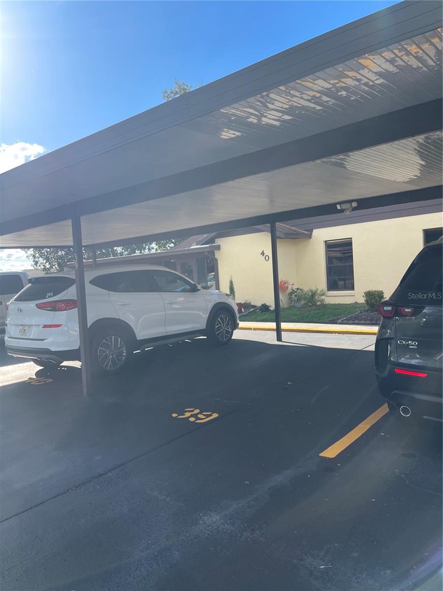 BRANDY CHASE VILLAGE A REP - Residential