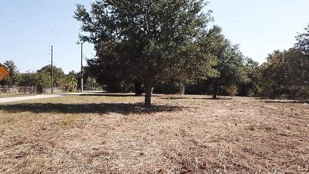 Photo of Keene Road, Umatilla, FL 32784 (MLS # O6355565)