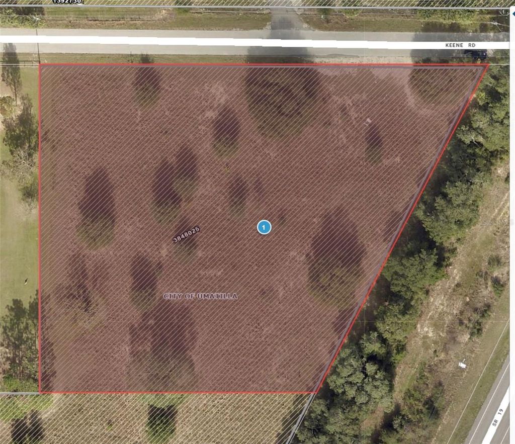 Photo of Keene Road, Umatilla, FL 32784 (MLS # O6355565)