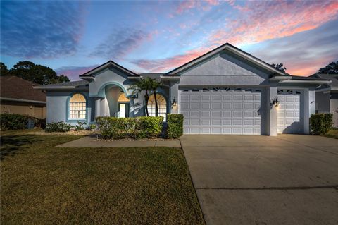 Photo of 739 Salt Lake Drive, Tarpon Springs, FL 34689 (MLS # W7880047)
